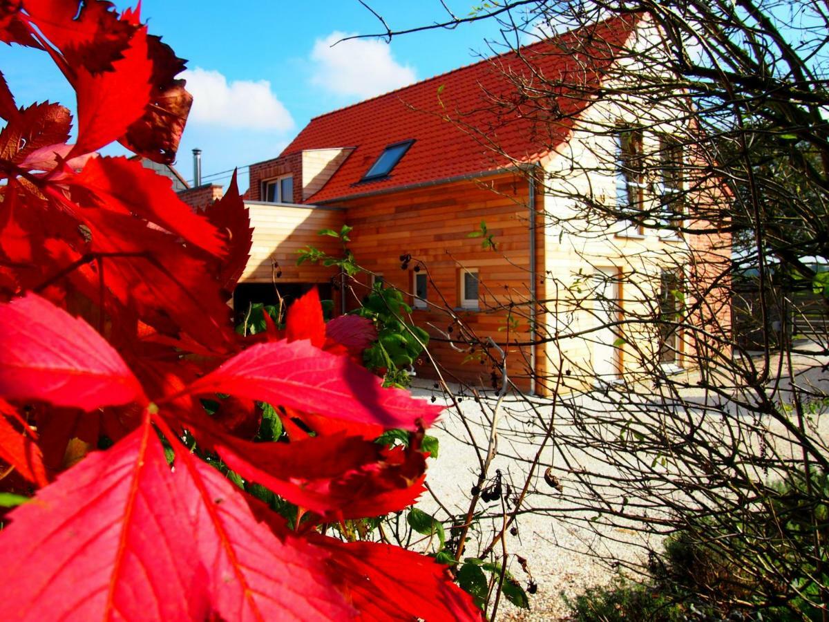 Archipel Holiday Cottage Ellezelles Exterior foto